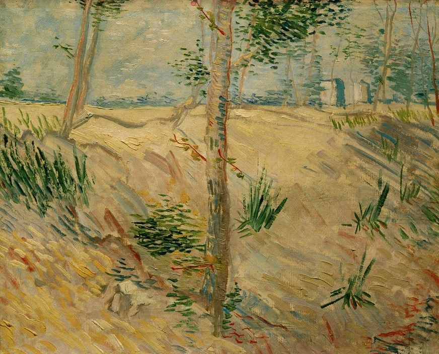 Vincent van Gogh, Baumstämme im Sonnenlicht (Jahreszeiten,Kunst,Landschaft,Sommer,Impressionismus,Baum,Niederländische Kunst,Holländische Kunst,Baumstamm,Postimpressionismus)