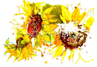 okalinichenko, sunflowers (sonnenblume, sommer, schöner, gelb, blume, korn, farbe, natur, sunlight, ackerbau, sonne, backgrounds, grün, landschaftlich, hell, kopf, pflanze, floral, kräfte, tage, life, licht, energie, samen, gruppe, draußen, lush, large, laubwerk, natürlic)