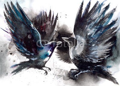 okalinichenko, crows (krähe, 2, stark, schwarz, vögel, konkurrieren, tier, haustier, streit, rabe, konzept, gefecht, weisheit, irritation, symbol, federn, emotion, ominös, schlecht, kunst, emotional, weiß, strampeln, gegenüberstellung, schwanz, ausdauer, beklemmung, dunke)