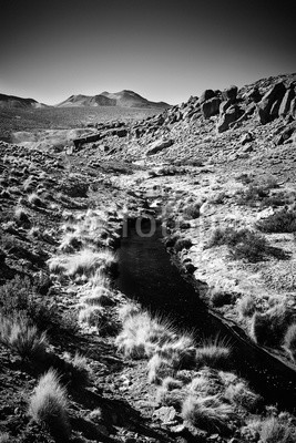Evan Lee, Atacama Desert, Chile (wüste, frühling, natur, landschaft, schwarzweiß, berg, river)
