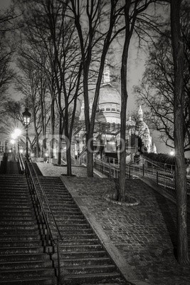 Francois Roux, Stairs leading to the Basilica of the Sacred Heart (Sacre Coeur Basilica) at night in Montmartre - Black and White, Paris, France (montmartre, treppe, paris, attraktion, basilika, hauptstadt, frankreich, orientierungspunkt, nachtorientierungslicht, nachtaufnahme, niemand, sehenswürdigkei)