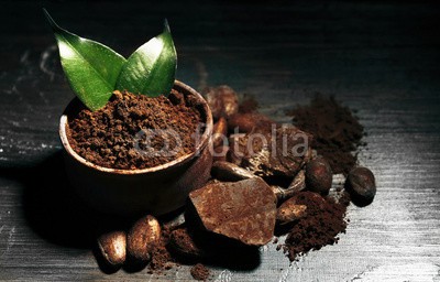 Africa Studio, Bowl with aromatic cocoa powder and green leaf on wooden background, close up (aroma, aromatisch, backgrounds, bohne, herb, schüssel, braun, kakao, koffein, schokolade, close-up, kakao, kaffee, farbe, sätze, süßwaren, dunkel, köstlich, nachspeise, details, feeds, essen, korn, grün, ernten, zutaten, leaf, natürlich, nährun)