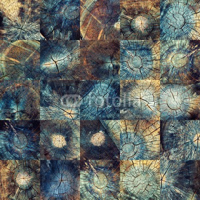 victor zastol'skiy, crack wood texture (baum, holz, textur, alt, backgrounds, hölzern, slice, ring, natürlich, ring, natur, schnitt, timber, stümpfe, kreis, mustern, abstrakt, kreuz, braun, vermissen, bauholz, pflanze, borke, sektion, jahre, werkstoff, trunk, log, makro, mittig, geform)