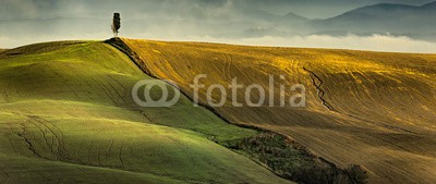 Blickfang, Toscana Landschaft Italien Panorama (italien, reisen, reise, reiseziel, touristisch, sehenswürdigkeit, toskana, europa, orientierungspunkt, urlaub, geschichtlich, panorama, landschaft, landwirtschaftlich, zypresse, grün, jahreszeit, vermisse)