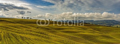 Blickfang, Toscana Landschaft Italien Panorama (italien, reisen, reise, reiseziel, touristisch, sehenswürdigkeit, toskana, europa, orientierungspunkt, urlaub, geschichtlich, panorama, landschaft, landwirtschaftlich, zypresse, grün, jahreszeit, vermisse)