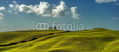 Blickfang, Toscana Landschaft Italien Panorama (italien, reisen, reise, reiseziel, touristisch, sehenswürdigkeit, toskana, europa, orientierungspunkt, urlaub, geschichtlich, panorama, landschaft, landwirtschaftlich, zypresse, grün, jahreszeit, vermisse)