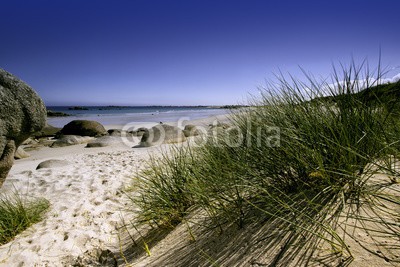 Nailia Schwarz, Küste und Strand in der Bretagne (bretagne, küste, stranden, sand, backstein, meer, sommer, froh, zaun, düne, düne, gras, wasser, fels, fussweg, straßen, natur, naturschut)