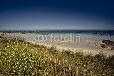 Nailia Schwarz, Küste und Strand in der Bretagne (bretagne, küste, stranden, sand, backstein, meer, sommer, froh, zaun, düne, düne, gras, wasser, fels, fussweg, straßen, natur, naturschut)