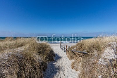 haiderose, meerzugang darßer ort (küste, meer, stranden, rostock, ostsee, küste, see, urlaub, badewannen, surfen, kitesurfen, rügen, usedom, bornholm, dänemark, schweden, england, mittelmeer, spanien, uns, australien, hafen, boot, fischerboot, cutter, fischfang, kirche, leuchttur)