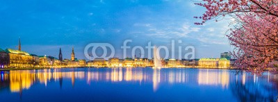 powell83, Hamburg - Germany (hamburg, abend, abenddämmerung, abend, abendstimmung, architektur, beleuchtet, beleuchtung, kirsche, kirschbaum, blau, frühlingsanfang, stadt, deutsch, deutsch, elba, europa, gebäude, hafen, hafenstadt, himmel, stadtzentrum, kirche, metropole, miche)