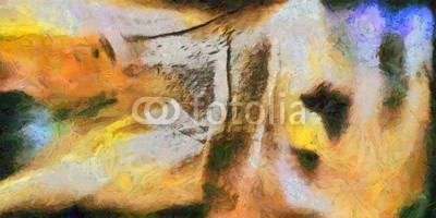 rolffimages, Colorful Abstract Painting (abstrakt, malerei, hintergrund, kunst, malerei, textur, canvas, bunt, lebendig, öl, malen, acryl, entwerfen, kunstvoll, farbe, artwork, bürste, digitales, dekorativ, papier, modern, jahrgang, grunge, farbenskala, rot, blau, orange, wasserfarben, farb)