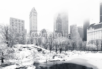 mandritoiu, The Pond in Central Park on a foggy winter morning, as viewed from Gapstow Bridge. Low clouds cover Manhattan skyscrapers (central park, new york city, manhattan, winter, schnee, skyline, new york city, architektur, schwarzweiß, stadt, stadtlandschaft, wolken, bewölkt, kalt, nebel, nebelig, einfrieren, eis, eisig, orientierungspunkt, landschaft, nebel, monochrom, morgen)