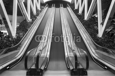 leeyiutung, escalator and stairway of contemporary building (schwarzweiß, architektonisch, hintergrund, gebäude, aufzug, eingang, treppenhaus, treppenhaus, treppe, architektur, business, stadt, klettern, konzept, entwerfen, unten, rolltreppe, futuristisch, ideen, innen, inneres, interieur, skilift, einkaufszentru)