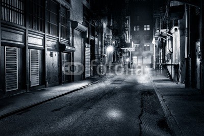 mandritoiu, Moody monochrome view of Cortlandt Alley by night, in Chinatown, New York City (new york city, new york city, gasse, gotham, stadt, manhattan, china town, dunkel, architektur, schwarz, stadtlandschaft, classic, gebäude, menschenleer, downtown, leer, nebel, nebelig, düster, schmutzig, mutig, historisch, geschichtlich, gewerblic)