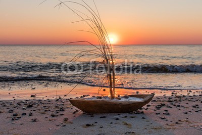 haiderose, boot am meer (mecklenburg, gasse, baum, reihe, landstraße, raps, verkehr, rügen, barth, ostsee, meer, küste, urwald, lichtung, holz, sanddünen, ried, sonnenuntergänge, boot, segelboot, segelspor)