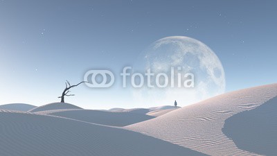 rolffimages, Moon and loneliness (peace, ruhig, entspannen, sand, merkwürdig, natur, luna, mann, mond, natürlich, himmel, einsamkeit, symbol, baum, weiß, zen, surrealismus, surreal, stabilität, steine, seltsam, sonne, leichtigkeit, landschaft, entwerfen, traum, düne, wüste, konzep)