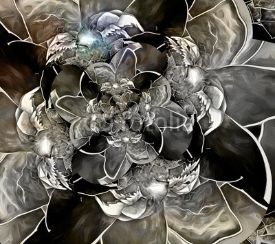 rolffimages, Flower (abstrakt, kunst, kunstvoll, vögel, schwarz, verdammt, blühen, canvas, wolken, sätze, konzept, konzeptionell, dunkel, dunkelheit, dekoration, dekorativ, dramatisch, verträumt, fantasy, blume, fraktal, futuristisch, dunkelheit, grau, zuwachs, vorstellun)