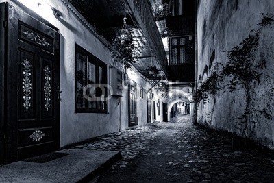 mandritoiu, Moody monochrome view of a cobblestone street passage in the old city center of Sibiu, Romania (rumänien, siebenbürgen, gasse, architektur, schwarz, gebäude, zentrum, stadt, stadtlandschaft, pflasterstein, dunkel, menschenleer, downtown, düster, schmutzig, mutig, historisch, geschichtlich, haus, licht, mittelalterliches, monochrom, mood)