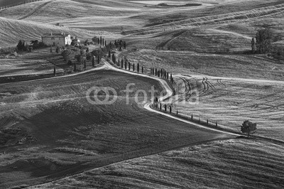 leeyiutung, idyllic Landscape in Pienza, Tuscany, Italy (schwarzweiß, toskana, landschaft, moody, italien, natur, idyllisch, beruhigt, italienisch, wiese, reiseziel, ackerbau, reisen, anblick, farmland, europäisch, jahreszeitlich, feld, panoramisch, hoheitsvoll, szenerie, zypresse, weinberge, bauernho)