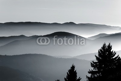 bonzodog, Aerial view of foggy mountains relief (alpen, antenne, elsass, erstaunlich, herbst, schwarzweiß, braun, gelassenheit, wolken, komfort, landschaft, katastrophe, ökologie, umwelt, fallen, nebel, wald, frankreich, hügel, horizont, idyllisch, landen, landschaft, wiese, berg, natürlich, natu)