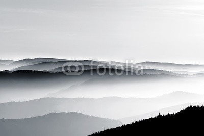 bonzodog, Aerial view of foggy mountains relief (alpen, antenne, elsass, erstaunlich, herbst, schwarzweiß, braun, gelassenheit, wolken, komfort, landschaft, katastrophe, ökologie, umwelt, fallen, nebel, wald, frankreich, hügel, horizont, idyllisch, landen, landschaft, wiese, berg, natürlich, natu)