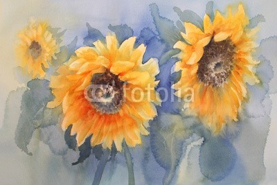 Egle, sunflowers on green background watercolor (wasserfarben, gelb, sonnenblume, abbildung, hintergrund, sommer, zeichnung, blume, floral, farbe, kunst, sonne, grün, blühen, gärten, malerei, natur, mustern, wasserfarben, pflanze, schönheit, hell, jahreszeit, farbe, artwork, bunt, jahrgang, abstrak)