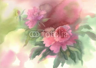 Egle, pink peony watercolor (wasserfarben, blume, floral, pfingstrosen, hintergrund, frühling, abbildung, sommer, romantisch, natur, blühen, blumenstrauss, jahrgang, weiß, botanisch, blühen, kunst, begrüssung, flora, hochzeit, blatt, karte, entwerfen, gärten, grün, gestalte)