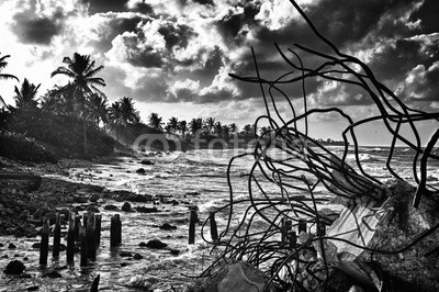 javigol860101, View of a eroded beach in cuba (leerstehend, lebensalter, uralt, hintergrund, strand, schwarzweiß, broken, gebäude, karibik, cuba, kubaner, zerstören, zerfressen, äusseres, landschaft, lateinisch, palme, sand, panorama, fels, bauschutt, szene, szenerie, tropics, tropisc)
