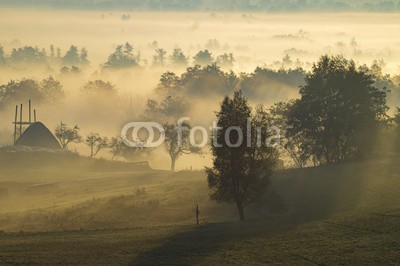 Mike Mareen, misty and sunny morning in the countryside (sonnenaufgang, landschaft, feld, morgens, morgengrauen, baum, nebelig, sonnenuntergang, nebel, himmel, nebel, natur, sommer, hintergrund, landschaft, ländliche, wiese, licht, vektor, staat, sonne, pflanze, grün, gras, wald, sonnenlicht, dunst, weid)