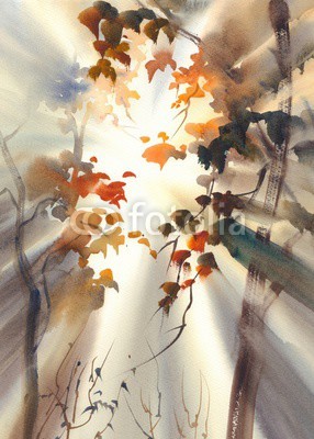 Egle, sun rays in the forest watercolor (wasserfarben, wald, kunst, natur, malen, baum, herbst, verzweigt, gelassenheit, morgens, abbildung, holz, ruhig, landschaft, nacht, szenerie, park, birke, sonnenuntergang, himmel, blatt, nebel, nebelig, tageslicht, wolken, silence, sonnenaufgan)