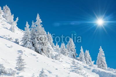 Lukas Gojda, Winter mountains panorama with ski slopes. (hintergrund, baum, sport, natur, winter, banner, sonne, berg, schnee, kalt, jahreszeit, urlaub, verschneit, weiß, landschaft, reisen, anblick, oberteile, skier, panorama, tourismus, frost, gefroren, gipfel, urlaub, morgens, still, himmel, resort, schöne)