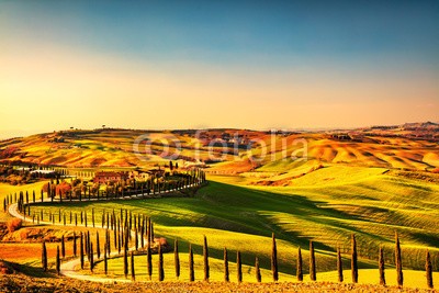 stevanzz, Tuscany countryside panorama, rolling hills and fields Italy (toskana, landschaft, rollend, landschaft, panorama, panoramisch, italien, hügel, nebel, nebel, nebelig, baum, ackerbau, schöner, frühling, staat, reiseziel, europa, bauernhof, feld, grün, urlaub, hügel, italienisch, wiese, natur, park, ländlich)