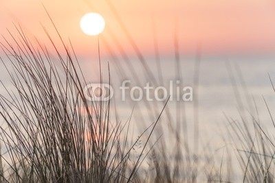 ThomBal, Sonnenuntergang an der Ostsee (ostsee, nordsee, sonnenuntergang, sonne, stranden, rügen, usedom, düne, meer, küste, urlaub, wasser, himmel, gras, horizont, abend, abend, abendsonne, sonnenaufgang, abendstimmung, nahaufnahmen, romantisch, hintergrund, verschwommen, verschwomme)