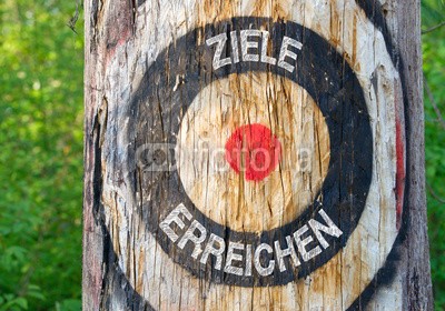 DOC RABE Media, Ziele erreichen - Zielsetzung und Zielerreichung - Zielscheibe auf Baum im Wald (zielen, objektiv, erfolg, zielen, checkliste, führung, motivation, erfolgreiche, schütze, jagen, hunter, bonus, prämie, arbeit, beruf, mitarbeiter, personal, geleistet, kreativität, bericht, baum, wald, fichte, symbol, wor)