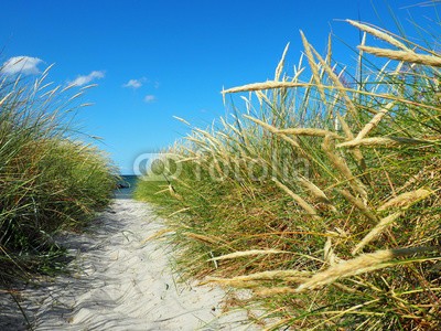 ExQuisine, Düne am Meer (nordsee, ostsee, düne, sand, gras, reisen, beschaulichkeit, sandstrand, seegras, sommer, sommerferien, stranden, strandurlaub, tourismus, urlaub, straßen, düne, entspannung, erholung, urlaub, gesundheit, hintergrund, küste, meer, ocean view, strandkor)