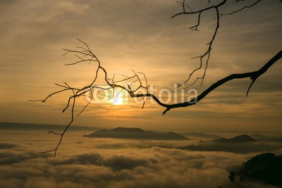 sutiporn, Tree silhouette sunrise mist foreground and mountains in Mekong river (sonnenaufgang, sonne, sonnenuntergang, himmel, natur, morgengrauen, morgens, anblick, sommer, landschaft, hintergrund, reisen, wolken, natürlich, herbst, schönheit, abenddämmerung, farbe, berg, licht, wolken, schöner, wald, jahreszeit, nebel, aben)