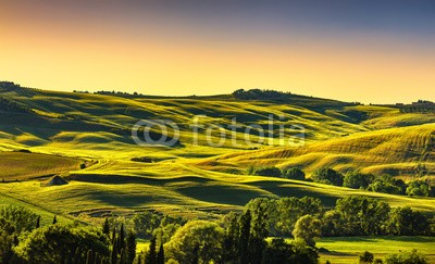 stevanzz, Tuscany countryside landscape panorama at sunset, rolling hills, fields, meadow. Italy (toskana, wiese, landschaft, feld, rollend, hügel, hügel, siena, pisa, panorama, italien, landschaft, sonnenuntergang, terrain, boden, verschmutzt, lawn, zypresse, licht, schatten, baum, panoramisch, antenne, frühling, staat, reiseziel, feld, grü)