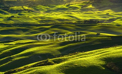 stevanzz, Volterra panorama, rolling hills, fields and meadow at sunset. Tuscany, Italy (toskana, wiese, landschaft, feld, rollend, hügel, hügel, siena, pisa, panorama, italien, landschaft, sonnenuntergang, terrain, boden, verschmutzt, lawn, zypresse, licht, schatten, baum, panoramisch, antenne, frühling, staat, reiseziel, feld, grü)