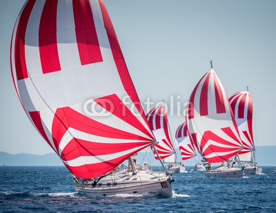 Pavel, Fleet of sailing boats with spinnaker during offshore race (segel, segeln, yacht, boot, meer, ozean, oberteile, wettrennen, blau, drohne, segelboot, horizont, schiff, wind, wasser, reisen, gespann, matrosen, nautisch, sport, urlaub, weiß, freiheit, sonne, frei, sonnenuntergang, mittelmeer, abenteuer, peace, erfol)