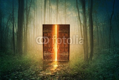 kevron2001, Glowing door in forest (licht, tür, wald, pfad, öffnen, hell, leuchten, glühen, surreal, konzept, baum, sumpf, blatt, holz, natur, hölzern, alt, zuschließen, ke)
