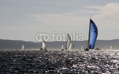 cintrasail, Magic Carpet 2 2 (yacht, wally, maxi, sailing, segelsport, yacht, boot, segelschiff, regatta, saint-trope)