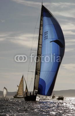 cintrasail, Magic Carpet 2 (yacht, wally, maxi, sailing, segelsport, yacht, boot, segelschiff, regatta, saint-trope)