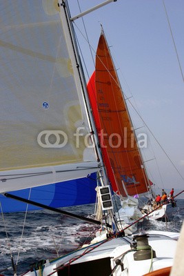 cintrasail, Racing (yacht, wally, maxi, regatta, saint-tropez, segelsport, segelschiff, yacht, segel, segel, mittelmee)