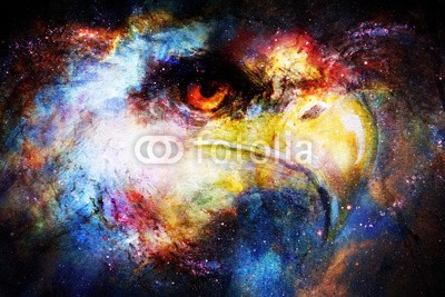 jozefklopacka, Eagle head in cosmic space. Animal concept. Profile portrait. (tier, adler, vögel, malerei, kosmisch, hintergrund, abstrakt, kunst, wildlife, raum, portrait, kopf, freiheit, körper, canvas, profile, bild, einheimisches, schöner, spirit, öl, mystisch, farbe, magisch, auge, abbildung, collage, königlich, compute)