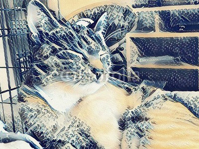 rolffimages, Cat (abstrakt, süss, tier, kunst, kunstvoll, artwork, schöner, bett, canvas, katze, charakter, hübsch, entwerfen, digitales, häusliche, zeichnung, gezeichnet, traum, katzen, flaumig, spassig, pelz, gnade, grafik, hand, abbildung, tinte, kätzchen, katz)