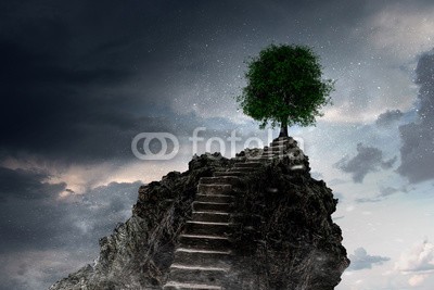 Sergey Nivens, Your way up to success. Mixed media (treppe, oberteile, hell, beton, baum, wachsen, zuwachs, fortschritt, zugriff, gelegenheit, grün, eingang, licht, hoffnung, wolken, himmel, faith, öffnen, leistung, konzept, leiter, treppenhaus, treppenhaus, step, erfolg, up, forward, aufwärt)