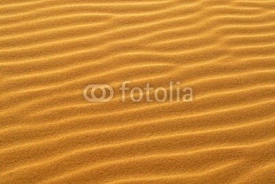 David Smith, pattern of golden sand on sand dune (sanddünen, sand, mustern, kunst, braun, california, farbe, bunt, oden, menschenleer, verlassen, trocken, sanddünen, gold, gold, hitze, hot, landschaft, einsamkeit, verloren, orange, draußen, textur, gelb, schatten, kalender, furchen, einsamkei)