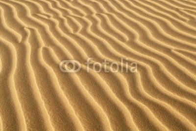 David Smith, ridges of sand formed in sand dune (sanddünen, sand, mustern, kunst, braun, california, farbe, bunt, oden, menschenleer, verlassen, trocken, sanddünen, gold, gold, hitze, hot, landschaft, verloren, orange, draußen, textur, gelb, schatten, kalender, furchen, einsamkei)