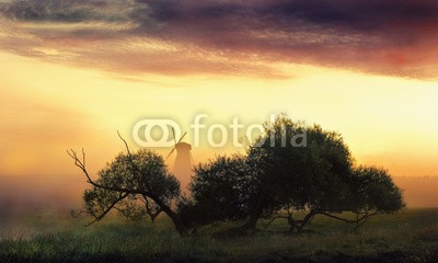 Viktar, Misty morning landscape with a windmill. The Belarusian landscape, village Dudutki. (sonnenuntergang, himmel, landschaft, sonne, sonnenaufgang, natur, wolken, morgens, wasser, baum, nebel, orange, baum, silhouette, rivers, nebel, morgengrauen, abend, see, feld, abenddämmerung, gras, sommer, wolke)