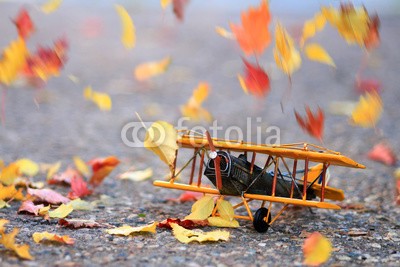 Alaskajade, Autumn leaves blowing in the wind across a yellow model airplane (flugzeug, fliegender, altmodisch, zweiter weltkrieg, kampfflugzeug, freiheit, geschichte, imitation, gedächtnis, militärischer, bewegung, nostalgie, propellers, sport, verkehr, kriegen, spielwaren, hobeln, herbst, blatt, jahreszeit, fallen, natur, ahor)